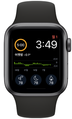 컴플리케이션이 추가된 두 개의 Apple Watch 페이스 예시