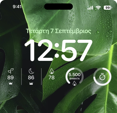 Oura_Widgets_2_el.png