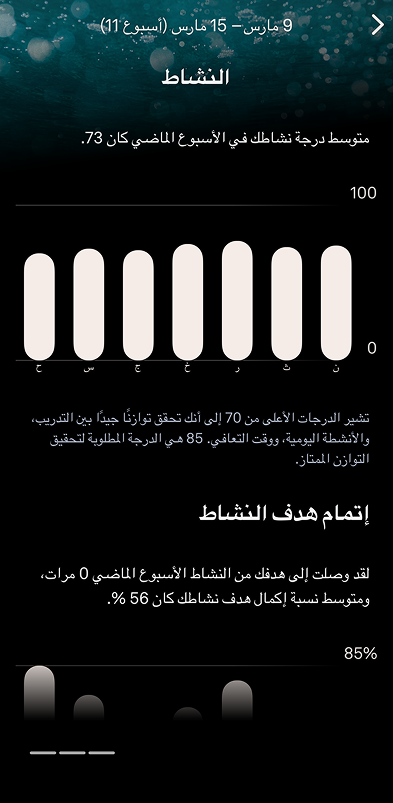 Oura_Reports_1_ar.png