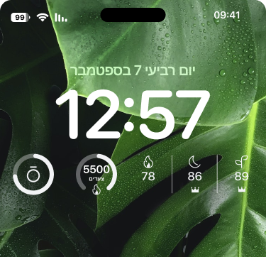 Oura_Widgets_2_he.png