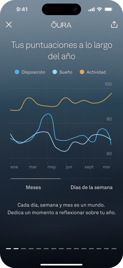 Puntuaciones del resumen anual